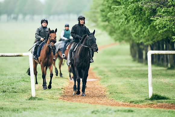 NEWMARKET-RACECOURSE-29th-APRIL-DJ-1242