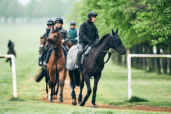 NEWMARKET-RACECOURSE-29th-APRIL-DJ-1247