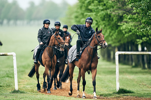 NEWMARKET-RACECOURSE-29th-APRIL-DJ-1275