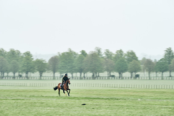NEWMARKET-RACECOURSE-29th-APRIL-DJ-0813