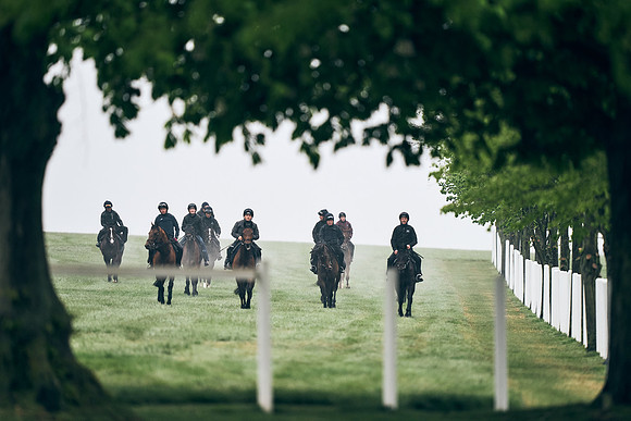 NEWMARKET-RACECOURSE-29th-APRIL-DJ-0022