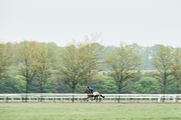 NEWMARKET-RACECOURSE-29th-APRIL-DJ-1004