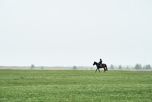 NEWMARKET-RACECOURSE-29th-APRIL-DJ-0901