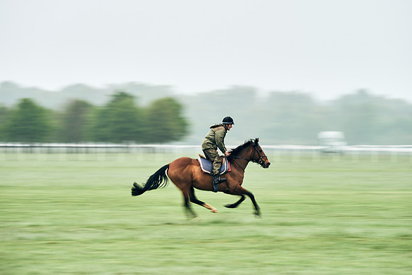 NEWMARKET-RACECOURSE-29th-APRIL-DJ-0885