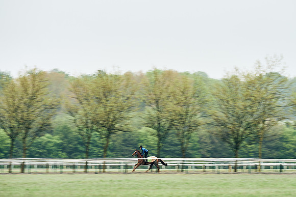 NEWMARKET-RACECOURSE-29th-APRIL-DJ-1014