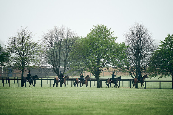 NEWMARKET-RACECOURSE-29th-APRIL-DJ-0272