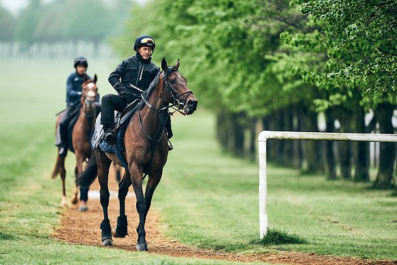 NEWMARKET-RACECOURSE-29th-APRIL-DJ-1303