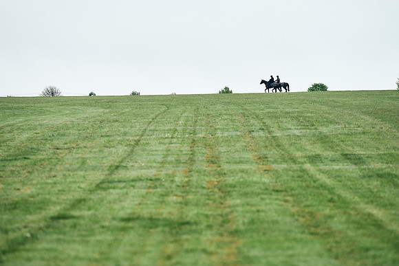 NEWMARKET-RACECOURSE-29th-APRIL-DJ-1529
