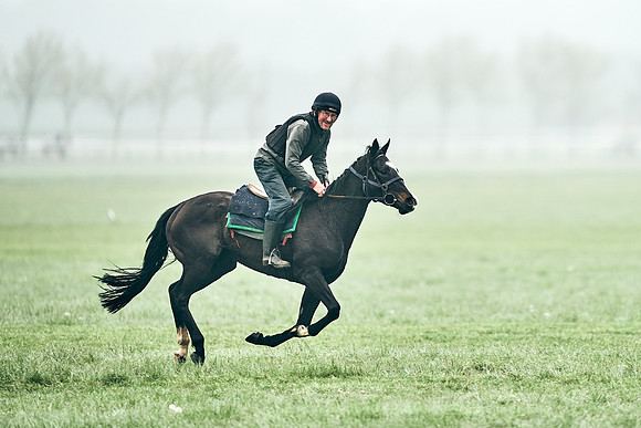NEWMARKET-RACECOURSE-29th-APRIL-DJ-0306
