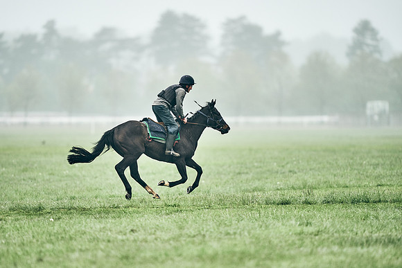 NEWMARKET-RACECOURSE-29th-APRIL-DJ-0333