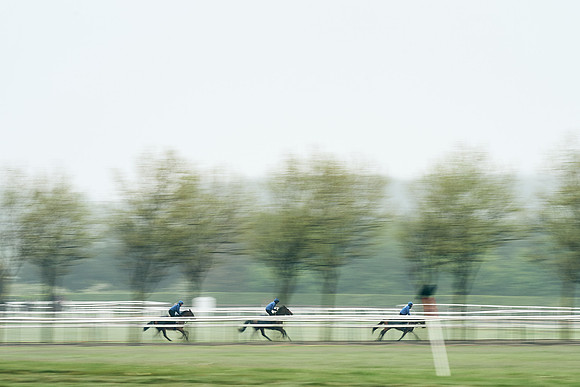 NEWMARKET-RACECOURSE-29th-APRIL-DJ-0363