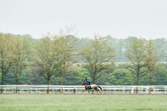 NEWMARKET-RACECOURSE-29th-APRIL-DJ-1002