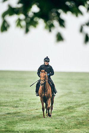 NEWMARKET-RACECOURSE-29th-APRIL-DJ-0179