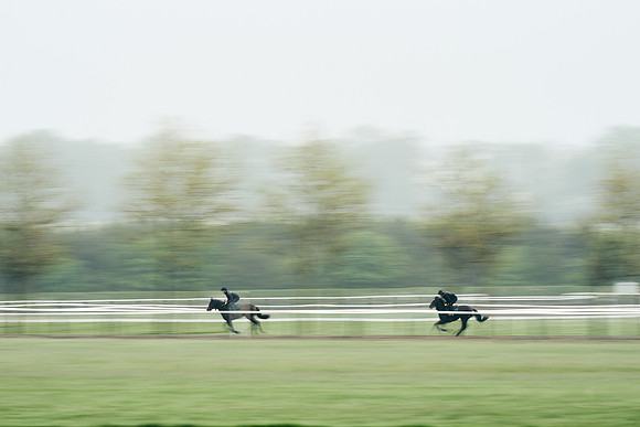 NEWMARKET-RACECOURSE-29th-APRIL-DJ-0417