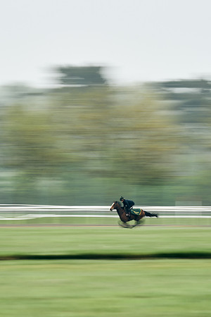 NEWMARKET-RACECOURSE-29th-APRIL-DJ-0597