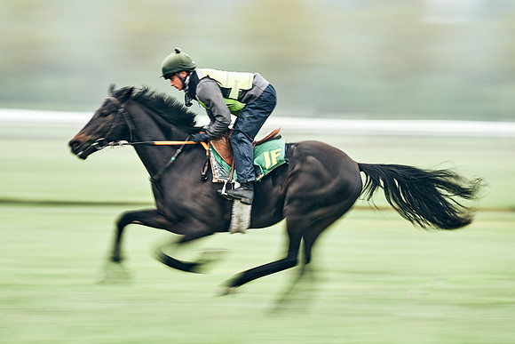 NEWMARKET-RACECOURSE-29th-APRIL-DJ-0797