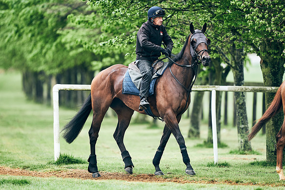 NEWMARKET-RACECOURSE-29th-APRIL-DJ-1320