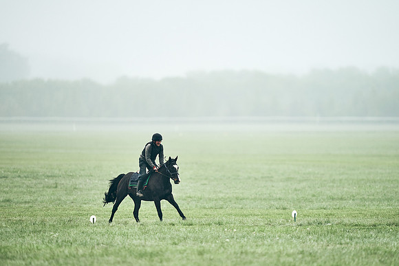 NEWMARKET-RACECOURSE-29th-APRIL-DJ-0294