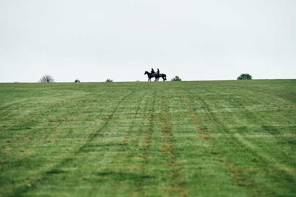 NEWMARKET-RACECOURSE-29th-APRIL-DJ-1537