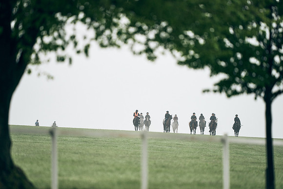 NEWMARKET-RACECOURSE-29th-APRIL-DJ-0006