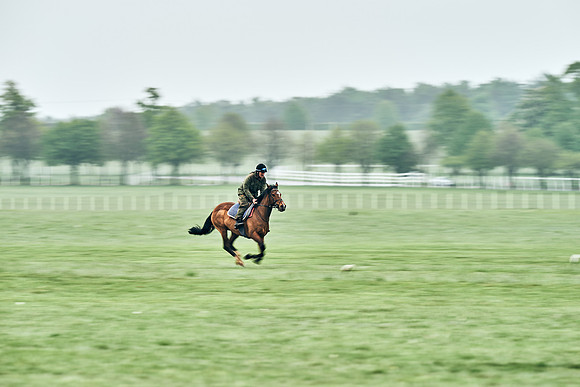 NEWMARKET-RACECOURSE-29th-APRIL-DJ-0829
