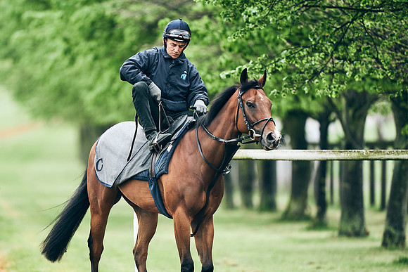 NEWMARKET-RACECOURSE-29th-APRIL-DJ-1276