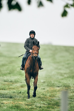 NEWMARKET-RACECOURSE-29th-APRIL-DJ-0143