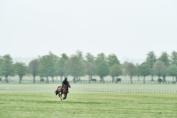 NEWMARKET-RACECOURSE-29th-APRIL-DJ-0815
