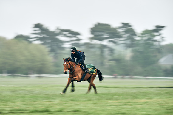 NEWMARKET-RACECOURSE-29th-APRIL-DJ-0764
