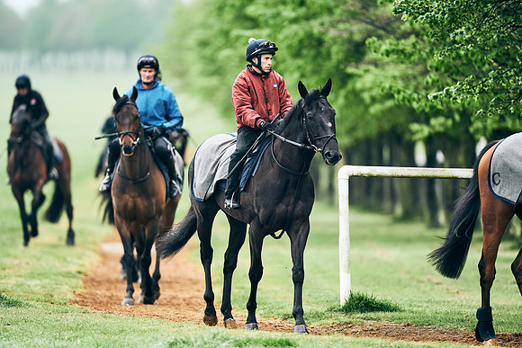 NEWMARKET-RACECOURSE-29th-APRIL-DJ-1292