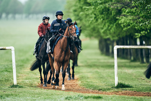NEWMARKET-RACECOURSE-29th-APRIL-DJ-1284