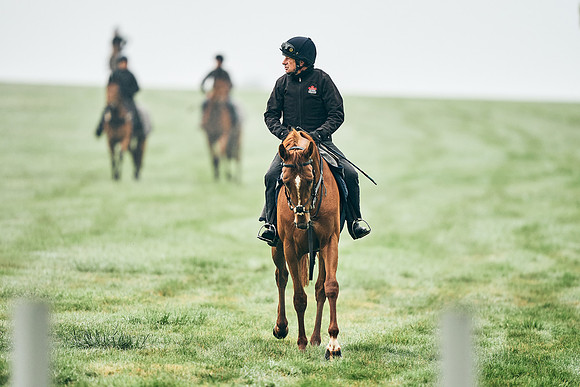 NEWMARKET-RACECOURSE-29th-APRIL-DJ-0138