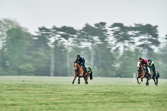 NEWMARKET-RACECOURSE-29th-APRIL-DJ-0746