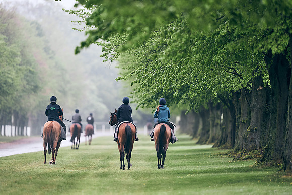 NEWMARKET-RACECOURSE-29th-APRIL-DJ-0205