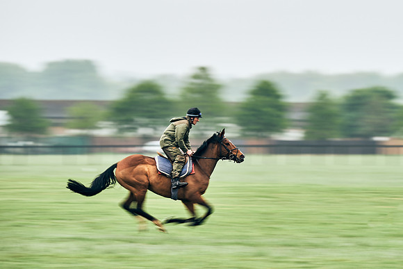 NEWMARKET-RACECOURSE-29th-APRIL-DJ-0870