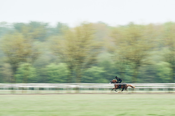NEWMARKET-RACECOURSE-29th-APRIL-DJ-1170