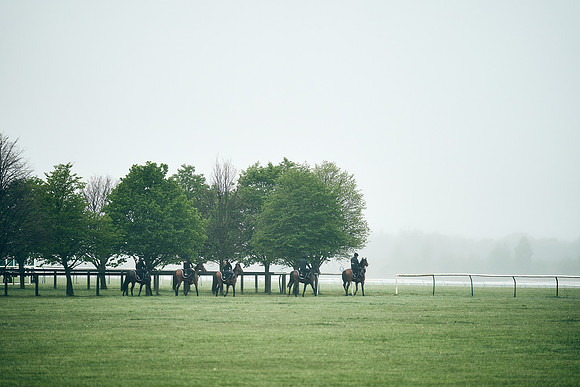 NEWMARKET-RACECOURSE-29th-APRIL-DJ-0277