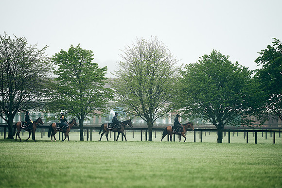 NEWMARKET-RACECOURSE-29th-APRIL-DJ-0262