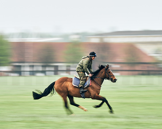 NEWMARKET-RACECOURSE-29th-APRIL-DJ-0852