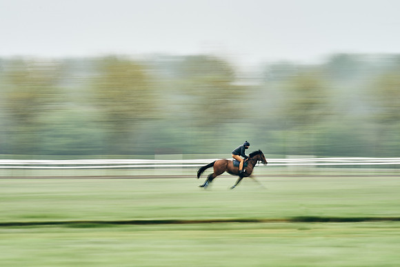 NEWMARKET-RACECOURSE-29th-APRIL-DJ-0680