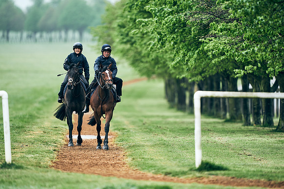 NEWMARKET-RACECOURSE-29th-APRIL-DJ-1322