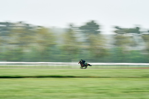 NEWMARKET-RACECOURSE-29th-APRIL-DJ-0592
