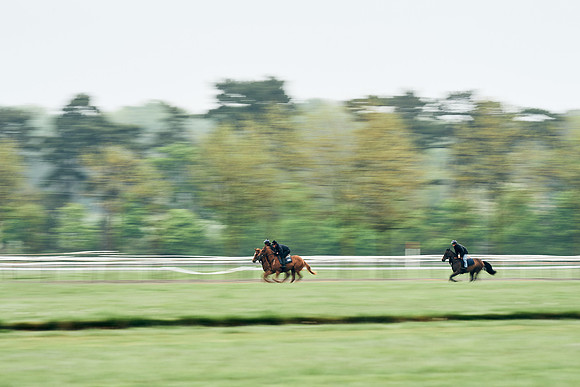 NEWMARKET-RACECOURSE-29th-APRIL-DJ-1043