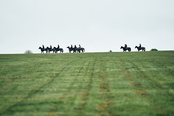 NEWMARKET-RACECOURSE-29th-APRIL-DJ-1601