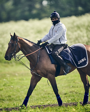 NEWMARKET-GALLOPS-24nd-APRIL-DJ-1604