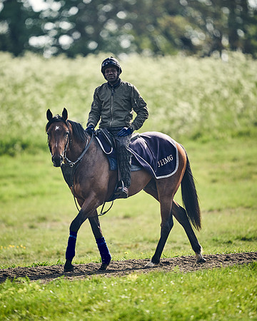 NEWMARKET-GALLOPS-24nd-APRIL-DJ-1613