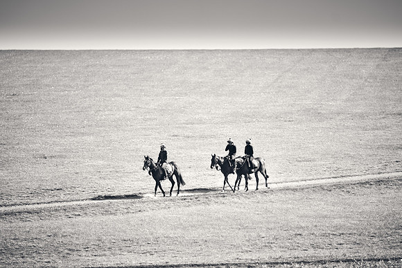 NEWMARKET-GALLOPS-24nd-APRIL-DJ-1883 1