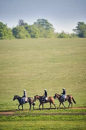 NEWMARKET-GALLOPS-24nd-APRIL-DJ-1899
