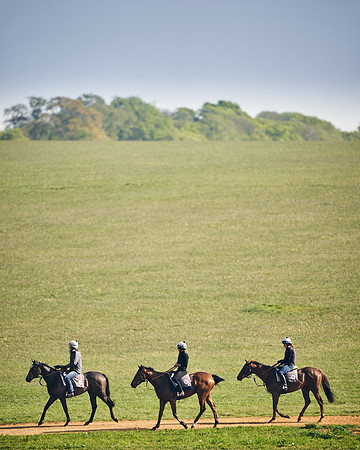 NEWMARKET-GALLOPS-24nd-APRIL-DJ-1892