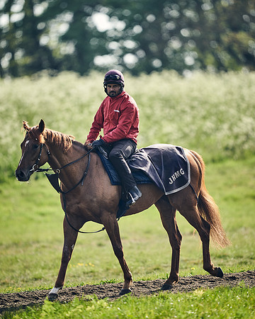 NEWMARKET-GALLOPS-24nd-APRIL-DJ-1616
